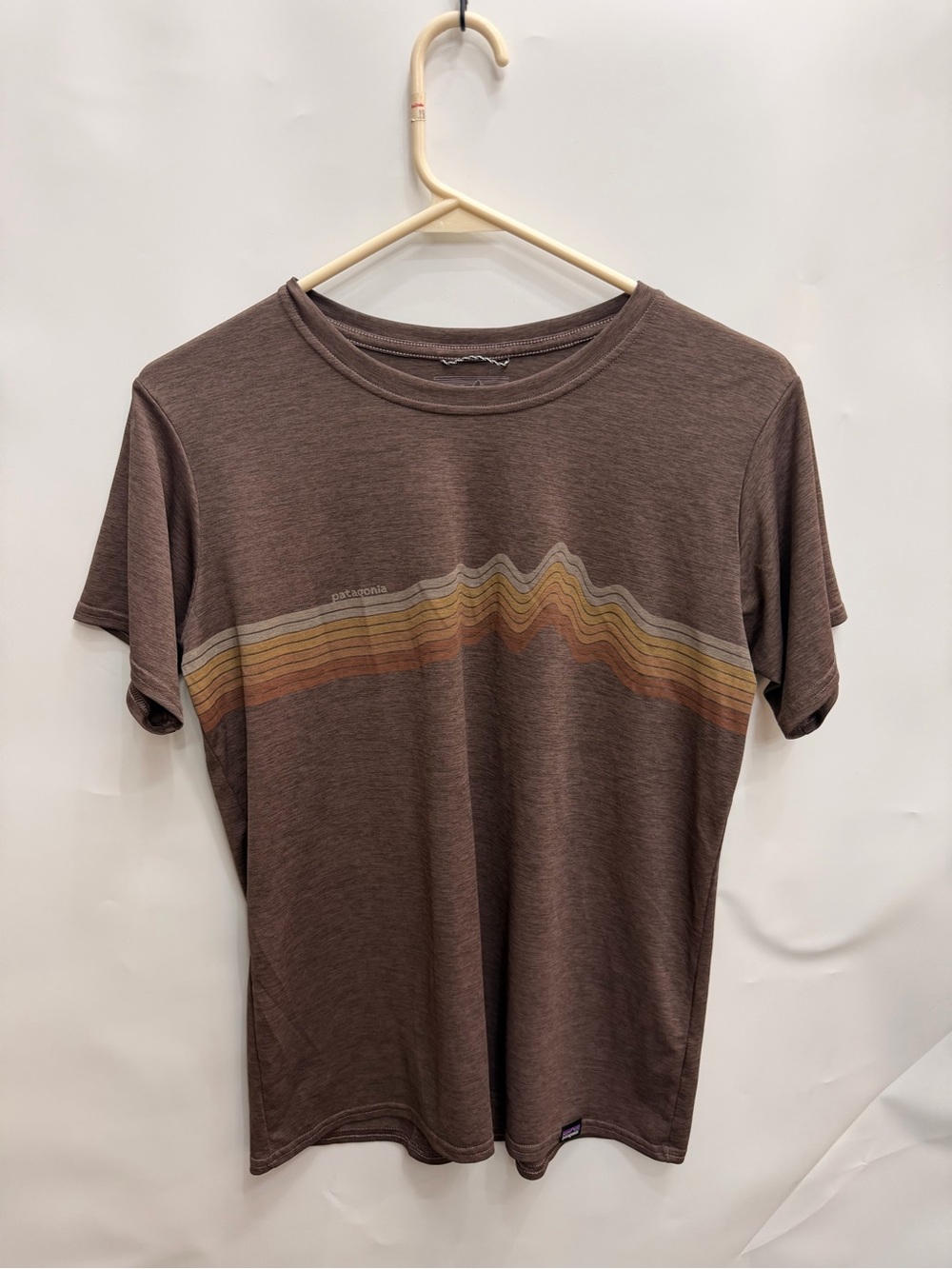 Patagonia Brown Short Sleeve Crew with Retro Mountain Stripe Patagonia Size MED